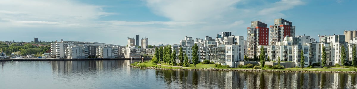 Programmet Robust kommun