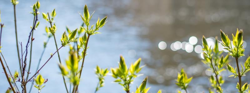 Framtida elbehov i ditt län