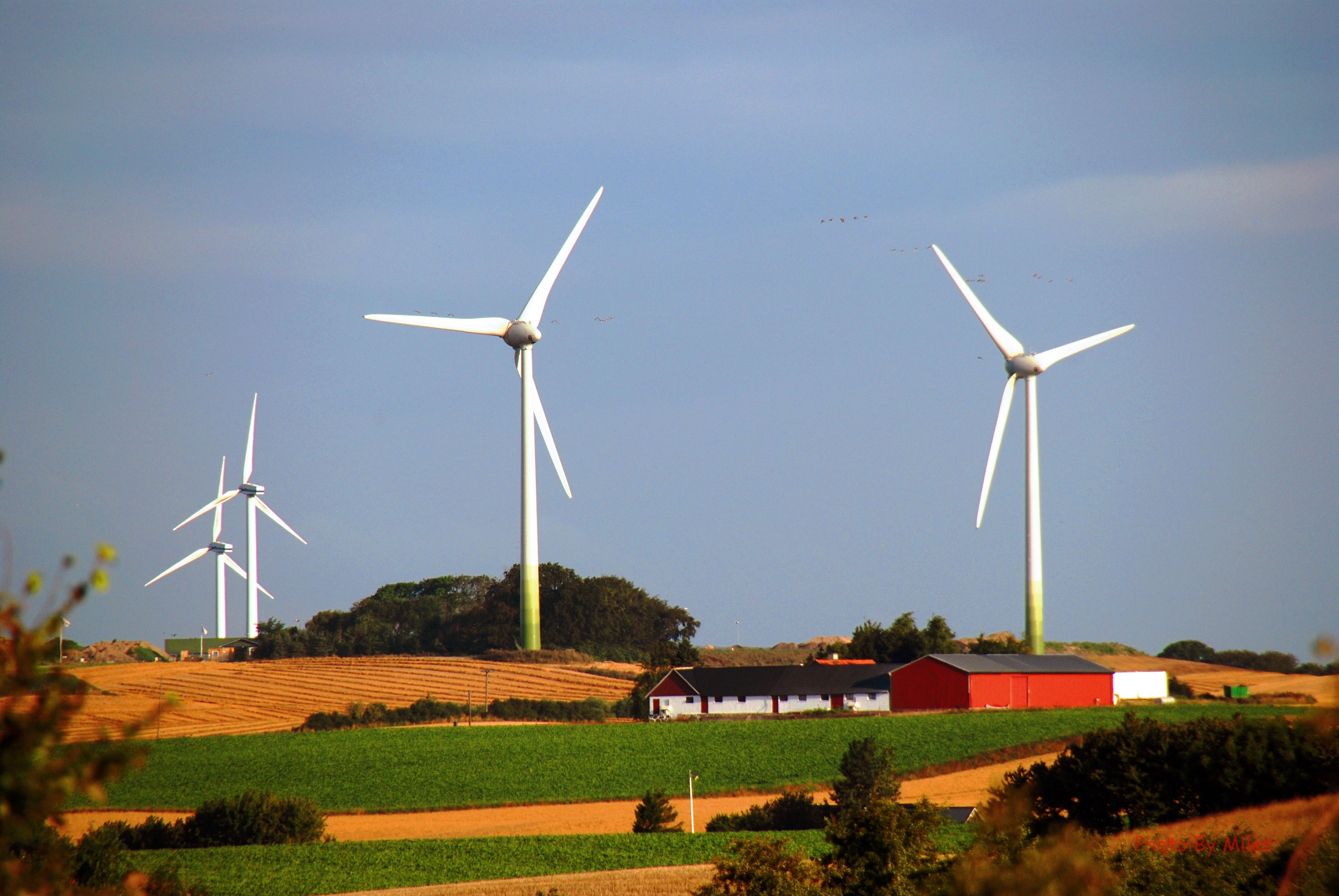 vindkraft i Sk&aring;ne