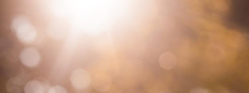 Information sources and data management