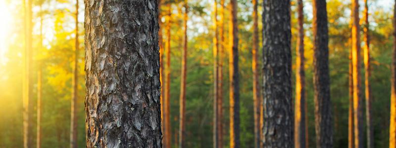 Mål inom klimat, miljö och energi