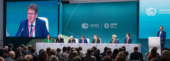 Deltagare vid COP29 i Azerbajdzjan