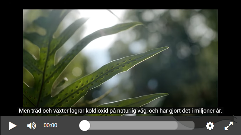 Film om bio-ccs på Youtube.