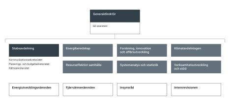 Organisationsschema_liten .jpg