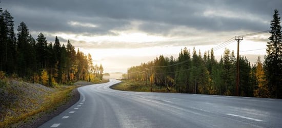 Asfalterad v&auml;g med skog p&aring; sidorna