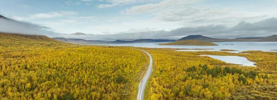 En v&auml;g och skog, berg i f&ouml;rgrunden